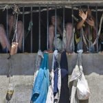 173106-conditions-detention-prison-nationale-port-1.jpg