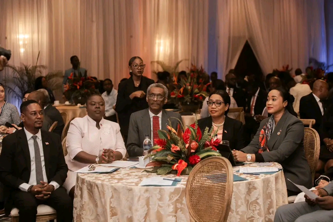 La diaspora au cœur de la stabilité : Pedrica Saint Jean lance un appel solennel aux femmes haïtiennes d’ailleurs
